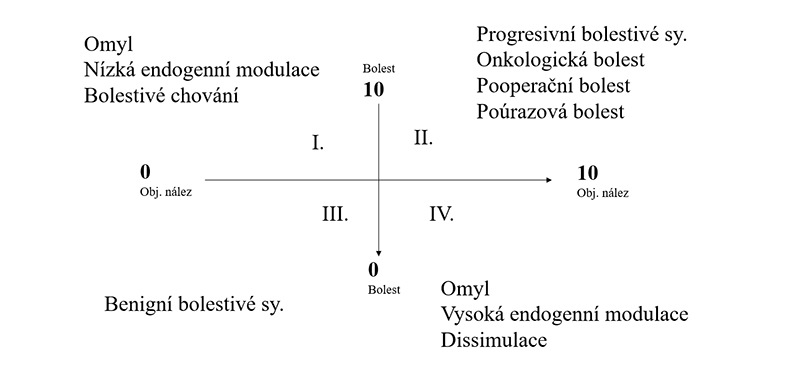 Emorský model hodnocení bolesti