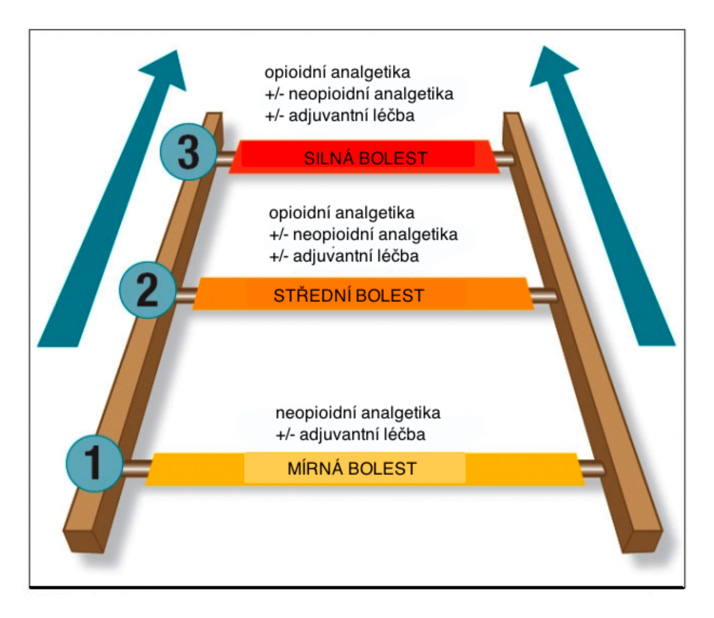 Léčba bolesti - žebříček WHO